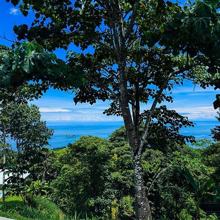 Canavida Villas & Resort Uvita Eksteriør billede