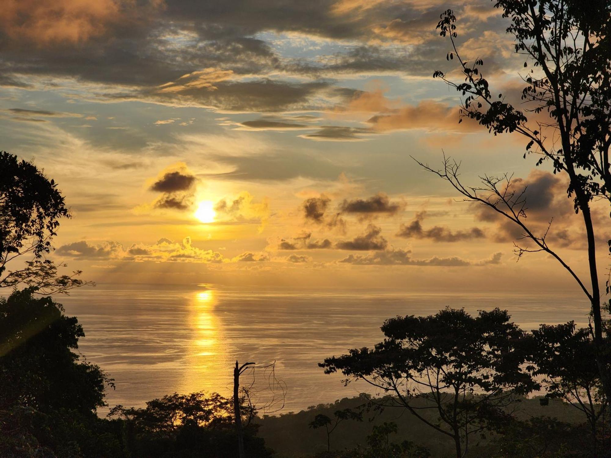 Canavida Villas & Resort Uvita Eksteriør billede