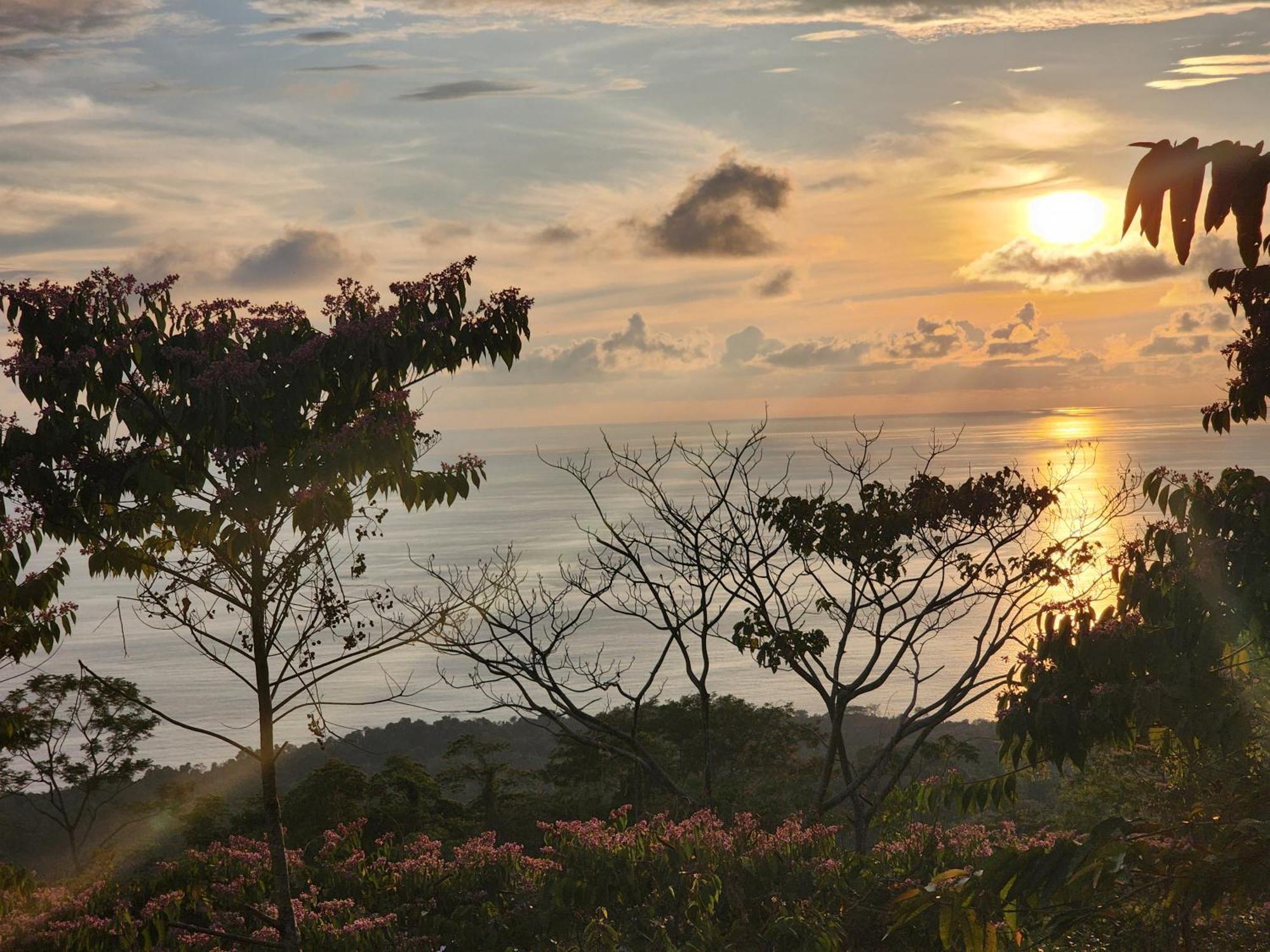 Canavida Villas & Resort Uvita Eksteriør billede